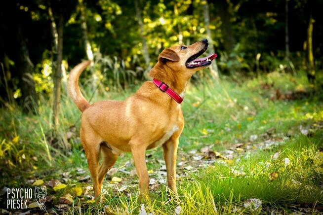 Twist szuka swoich ludzi!