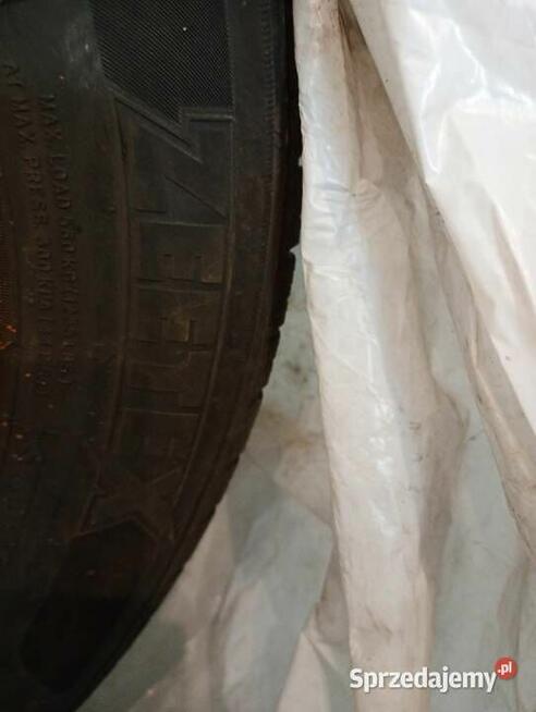 opony zimowe zeetex wp1000