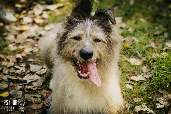 Amor już 5 lat za kratami...