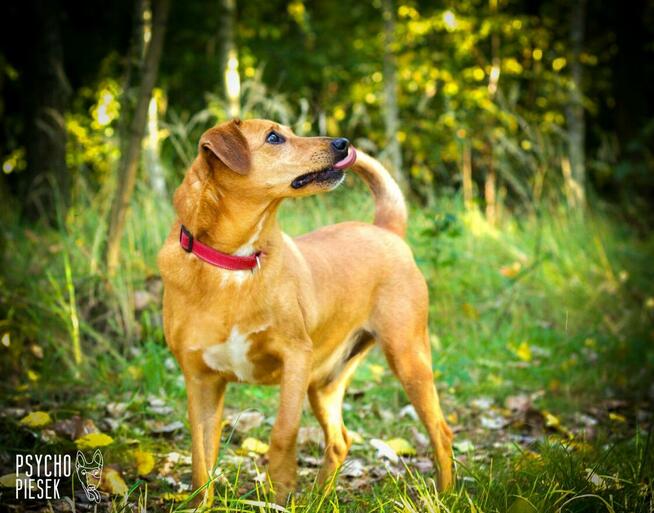 Twist szuka swoich ludzi!