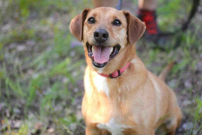 Twist szuka swoich ludzi!