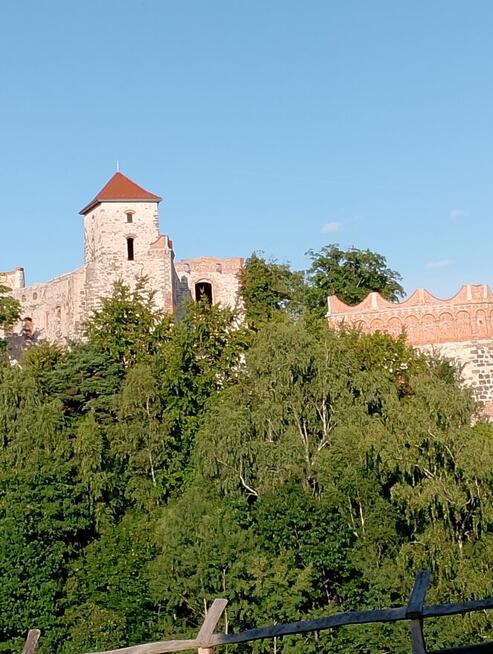 Poznam kobietę wolną prawnie.