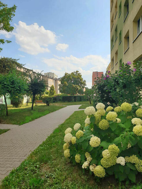 Kawalerka z dodatkową sypialnią, ul. Klonowa