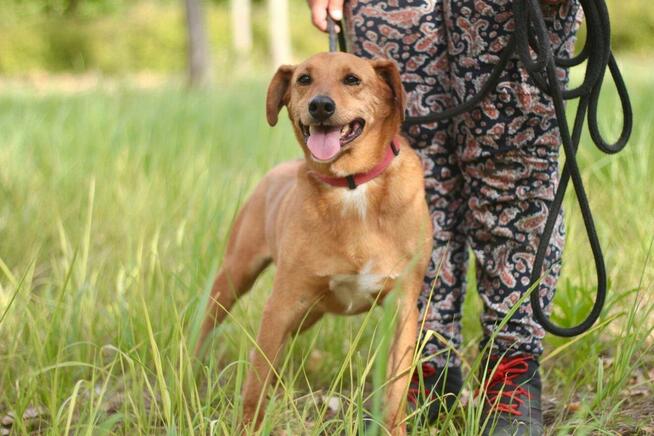 Twist szuka swoich ludzi!