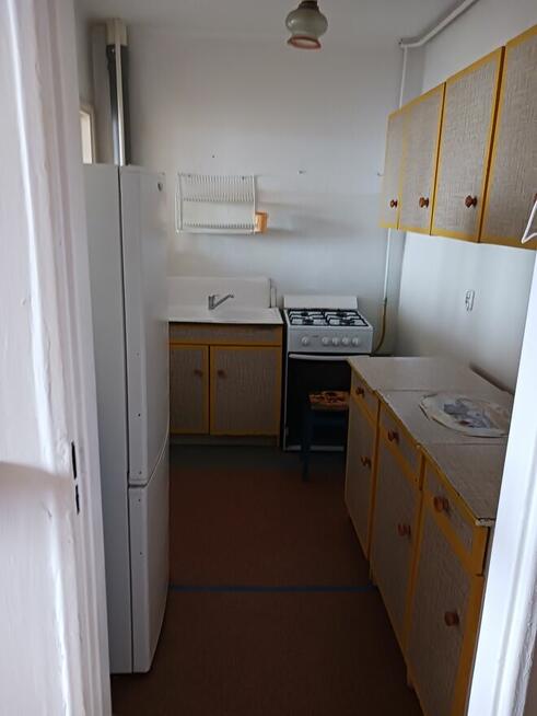 Mieszkanie do wynajęcia