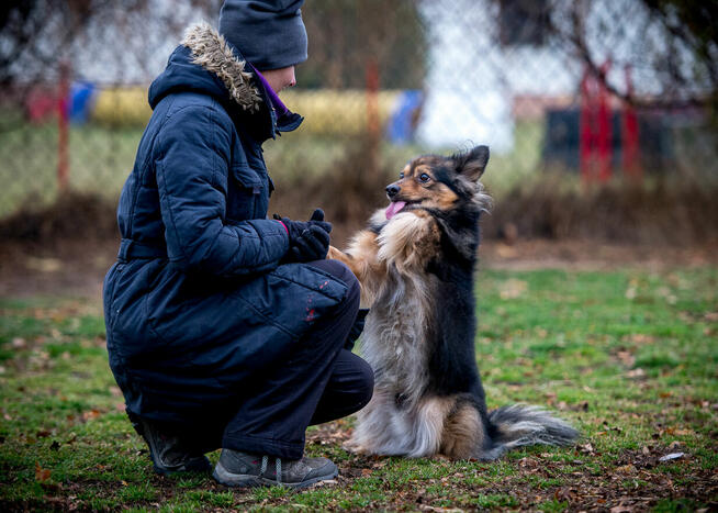 YY, że jak? MacGyver nie ma jeszcze domku? Przygarniesz?
