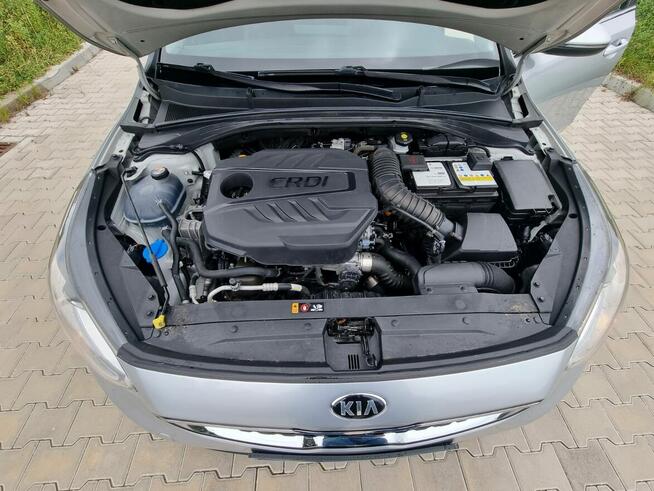 Kia Ceed 1.6 CRDi 136 KM Salon Polska