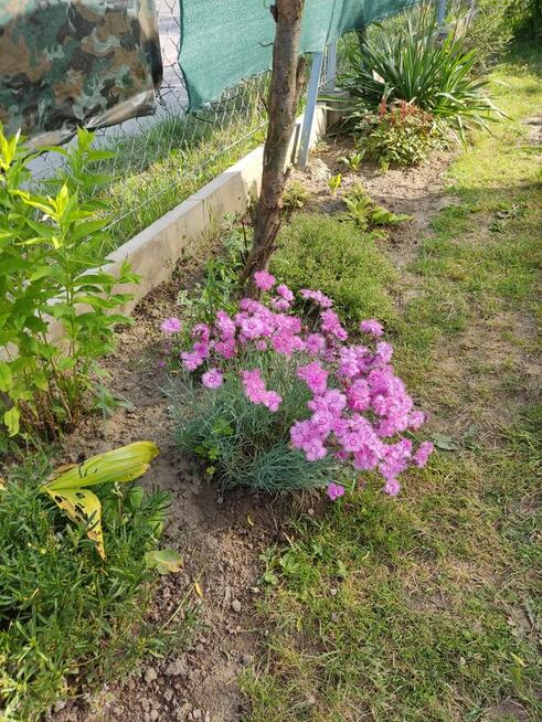 Działka rekreacyjna