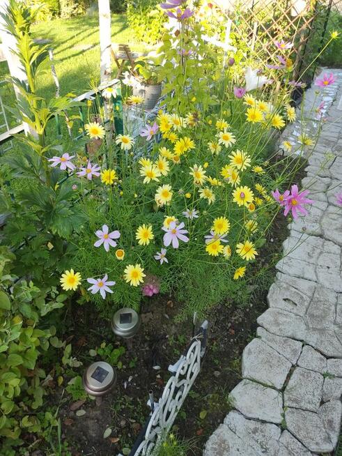 Działka rekreacyjna