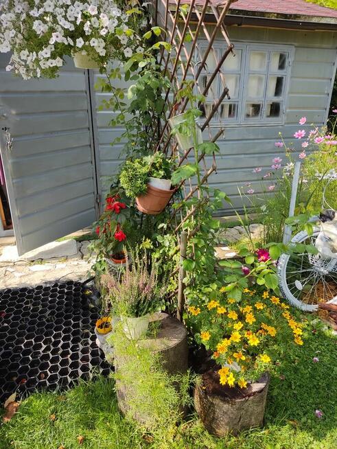 Działka rekreacyjna