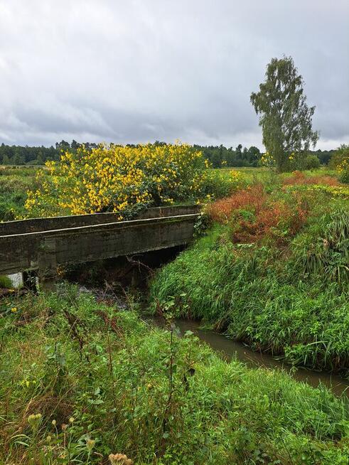 Działka z rozpoczętą budową - las , spokojna okolica Oksa