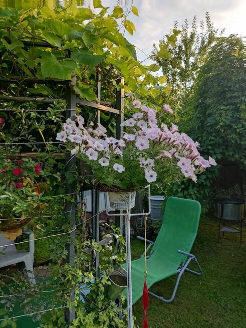 Działka rekreacyjna