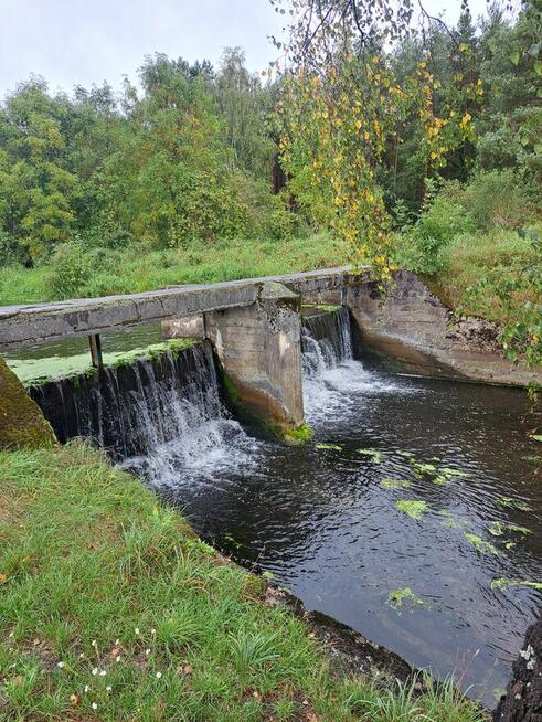 Działka z rozpoczętą budową - las , spokojna okolica Oksa
