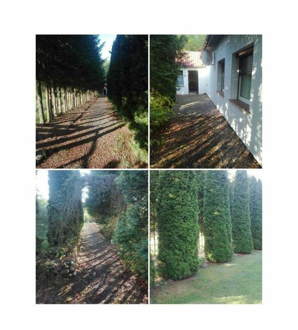 Dochodowa posiadłość, dom + magazyn, stawy i las