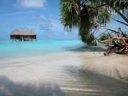 Wycena nieruchomosci Warszawa, mazowieckie