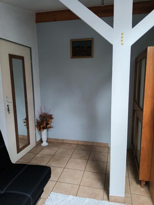 Mieszkanie na Wildzie