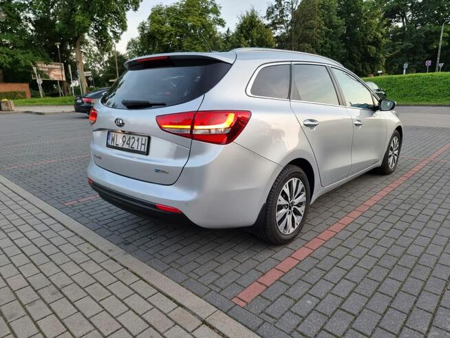 Kia Ceed 1.6 CRDi 136 KM Business Line Salon Polska