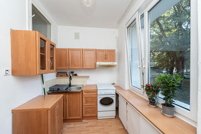 Okazja! Przytulne dwa pokoje wśród zieleni