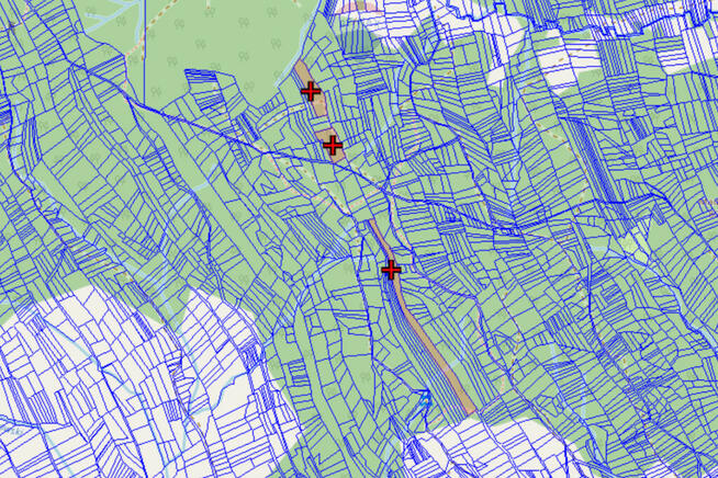 Działki leśne Podwilk