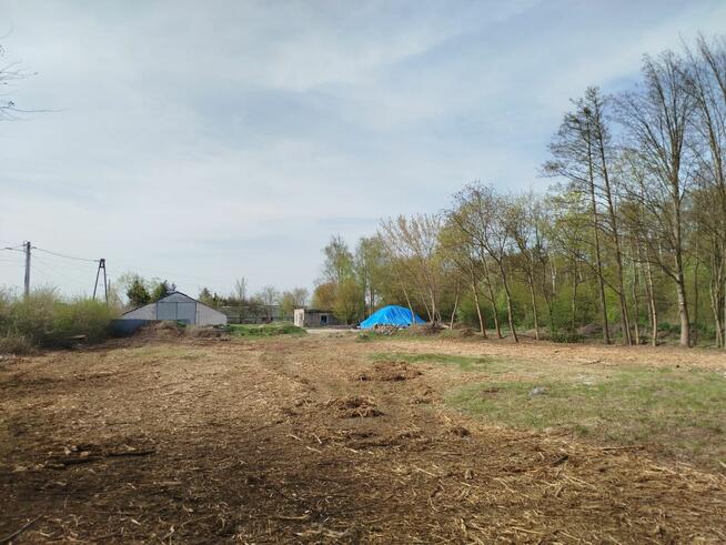 Działka usługowa Skrzeszew gm. Wieliszew, Kościelna