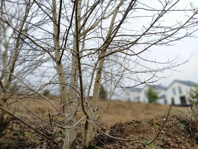 Działka budowlana Nowa Wieś Lęborska, Osiedle Na Stoku