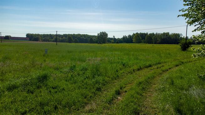 Działka budowlana Nowa Wieś Ostródzka gm. Olsztynek Dębowa Góra