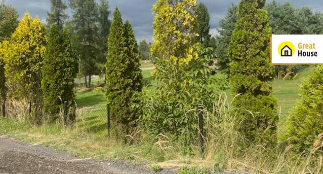 Dom Jankowice gm. Świerklany,