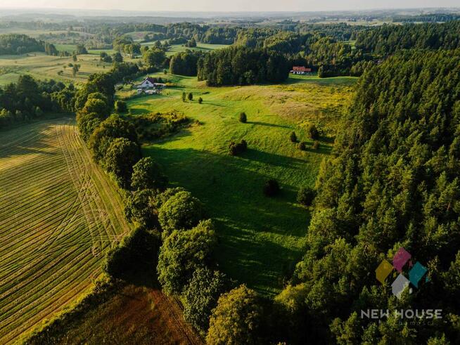 Kompleks działek w otoczeniu lasu