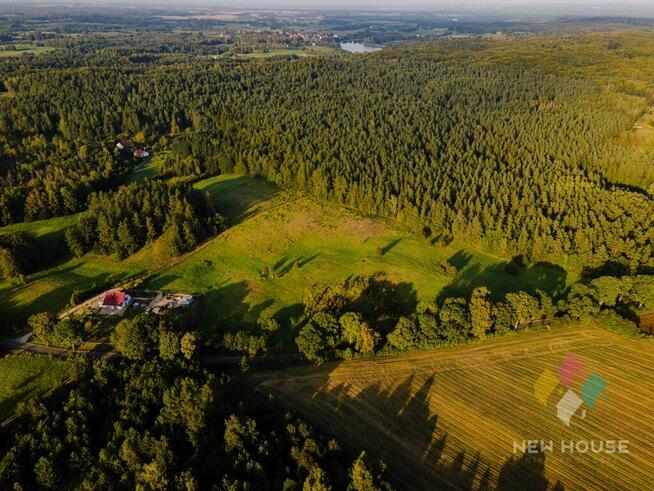 Kompleks działek w otoczeniu lasu