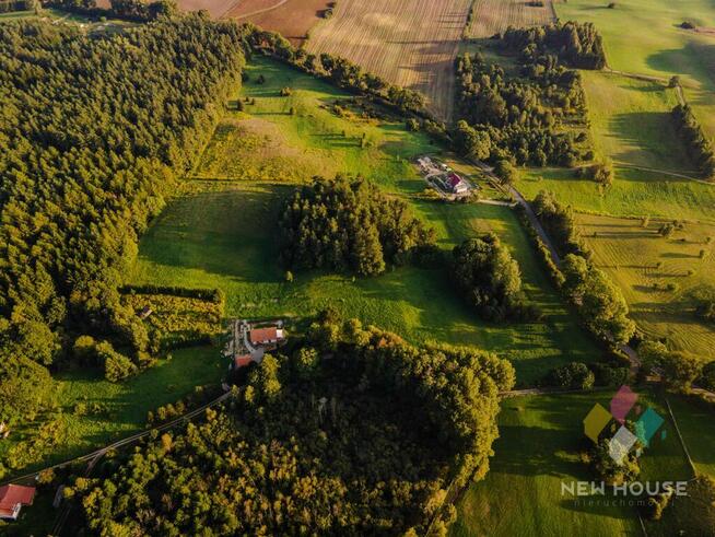 Kompleks działek w otoczeniu lasu