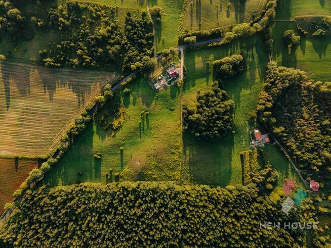 Kompleks działek w otoczeniu lasu