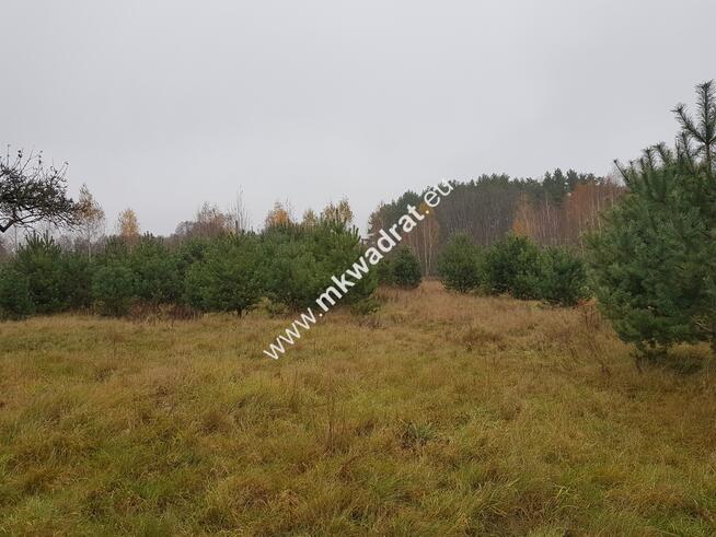 ⭐⭐⭐⭐Urokliwa działka przy lesie MPZP Media ⭐⭐⭐⭐