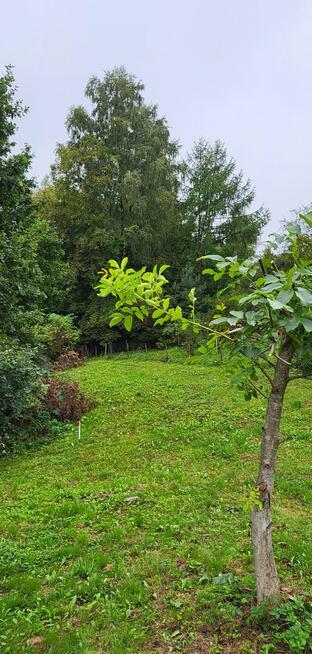 Działka budowlana Barwałd Średni gm. Kalwaria Zebrzydowska