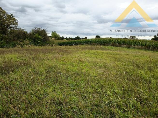 Działka rolna z potencjałem 2986 m2 , 79 tys.!