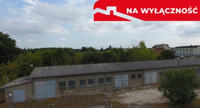 Magazyn, Łaziska, Opole Lubelskie, 525m2, 25 ar