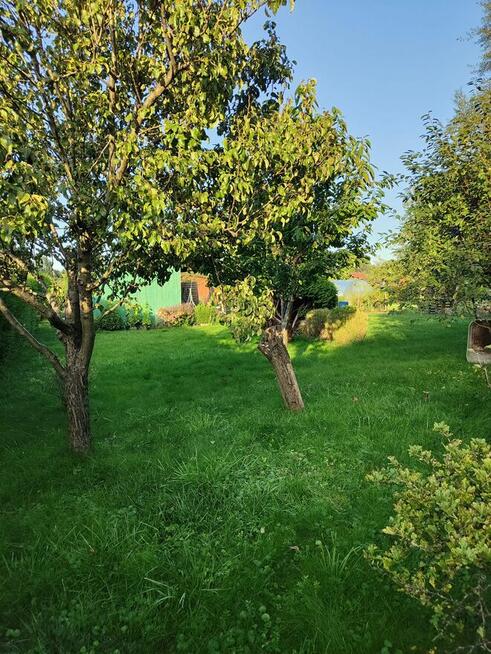 Sprzedam dzialke ROD