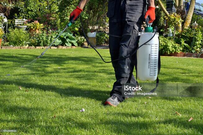 Usługa koszenia trawnika i prac porządkowych. Najtaniej!!
