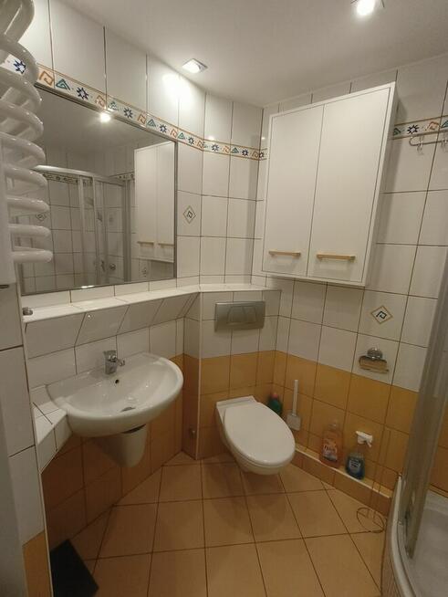 Wynajme mieszkanie 2 pokojowe. Samo centrum koło spodka