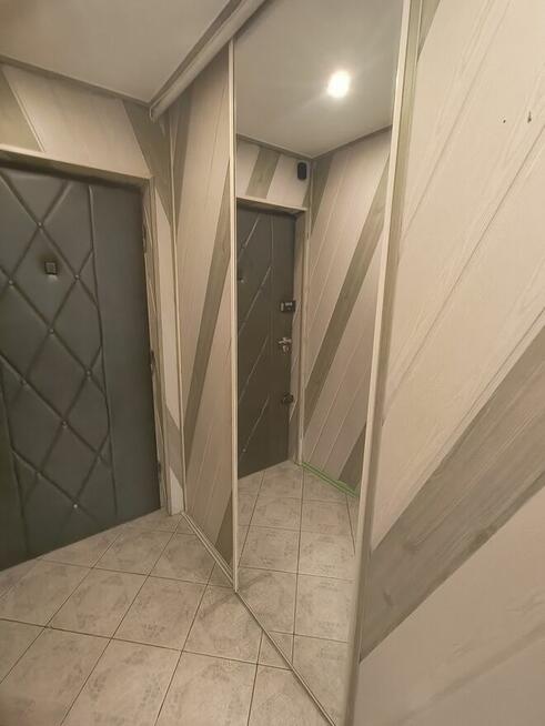 Wynajme mieszkanie 2 pokojowe. Samo centrum koło spodka