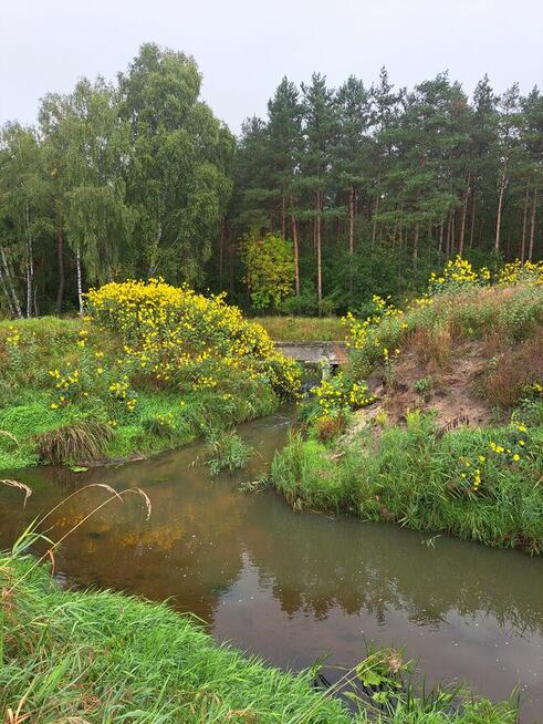 Działka z rozpoczętą budową - las , spokojna okolica Oksa