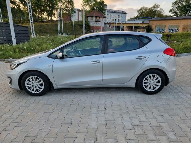 Kia Ceed 1.6 CRDi 110 KM Salon Polska