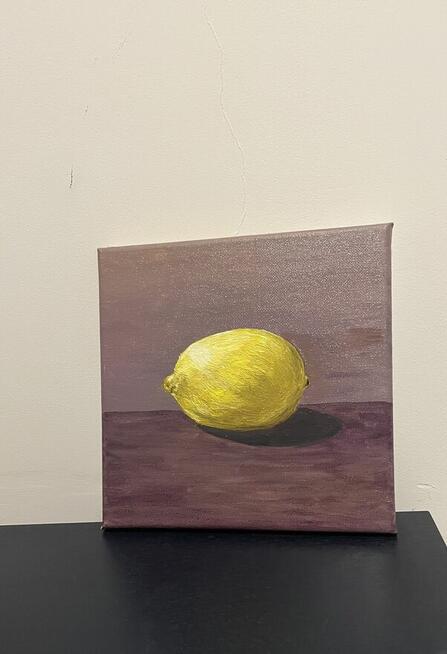 Obrazy olejne 20*20 na płótnie