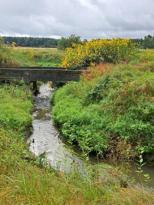 Działka z rozpoczętą budową - obok lasu w Oksie