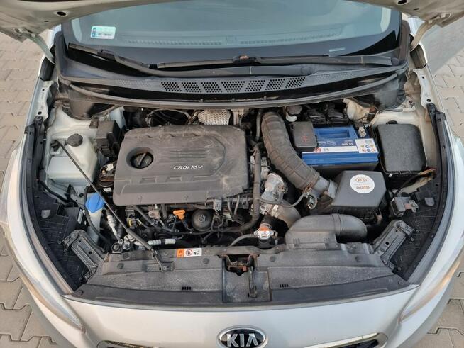 Kia Ceed 1.6 CRDi 110 KM Salon Polska