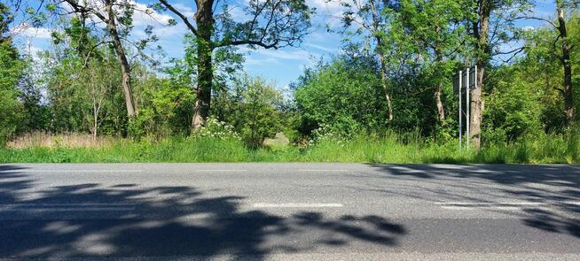 Sprzedam działki rolne zabudowane w Kołbieli pod Warszawą