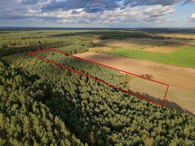 Działka rolna Jędrzejewo