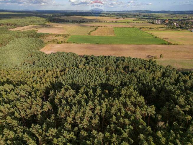 Działka rolna Jędrzejewo