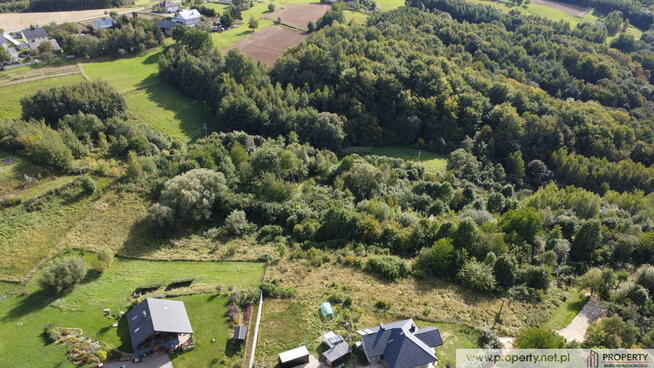 Działka widokowa 26.5 ar, Stasiówka, Dębica