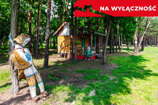 SKANSEN NA SPRZEDAŻ Baranów Sandomierski