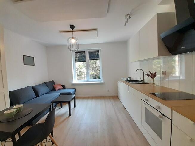 Wynajmę studio przyjazne zwierzętom, Tomasza 5